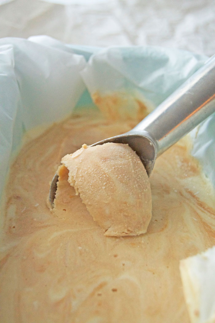 No Churn Cookie Butter Ice Cream | dcgirlinpearls.com
